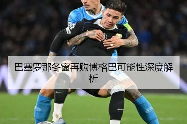 巴塞罗那冬窗再购博格巴可能性深度解析（MKSPORTS）